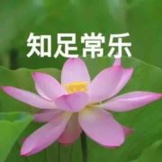 平淡是真823
