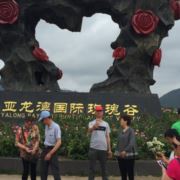 开心果784