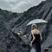 宠礼宠物零食铺