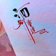 降龙十酒爪