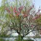 xuan318