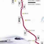 初橙果汁