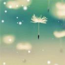 WX~186913267
