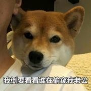 陈哲远的老婆