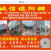 糯米团子一浙江汽