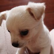 嘻嘻嘻嘻12345166