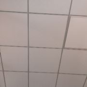 tcy~186937364