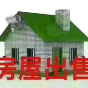 周莹莹824