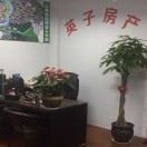 英子房产13505854