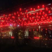 如鱼水中游12345