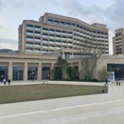 崧厦木工谭师傅