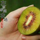 136859王