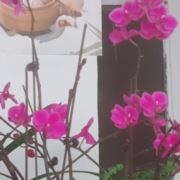 李明691