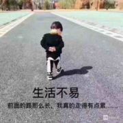 骑小猪追大奔787