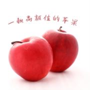 代采榴莲菠萝蜜