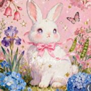 张林赫的黑色毛衣