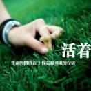 WX~187028879