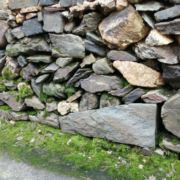 洪源镇汽车之家01