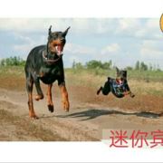 上虞39岁数控老头