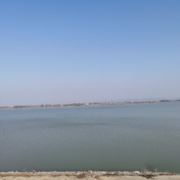 花花的世界呀呀