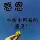 媛媛533