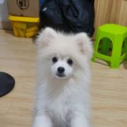tcy~187079103
