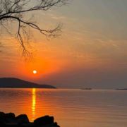 动感光波呀biubiu