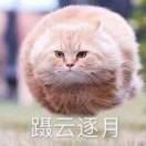 猪头788652