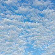 WX~187096496