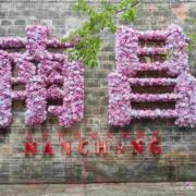 景德镇到南昌往返