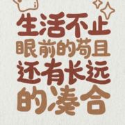 风一样的男人576