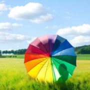 初见那一方天地