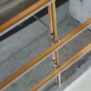 大象跳舞粗大长