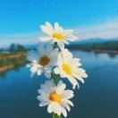 WX~187159824