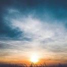 WX~187175964