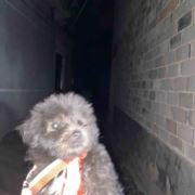 千禧年的小可爱