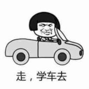 考驾照请找我