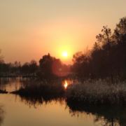 春夏秋冬一年五季