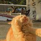 巧厨轩上海小吃