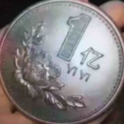 tcy~187247442