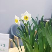 天地寂寥