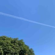tcy~187309471