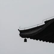 chen沫520