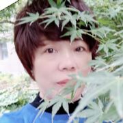 再见你我已暮白
