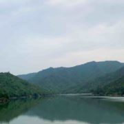 李伯庸