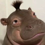 加油要努力赚钱