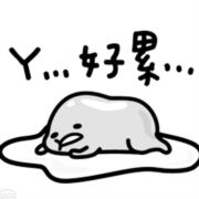 tcy~187503014