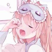 会跑会飞的猪宝宝