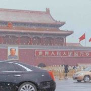 隐官陈十一