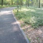 自由自在的生活88